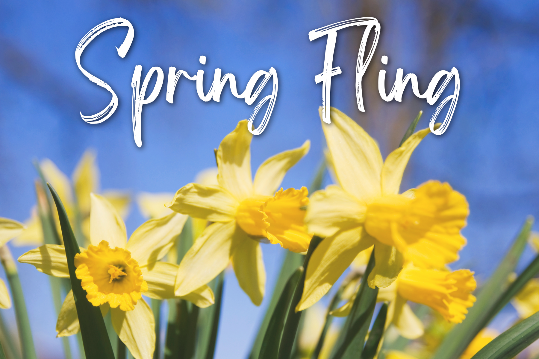 Spring Fling.png