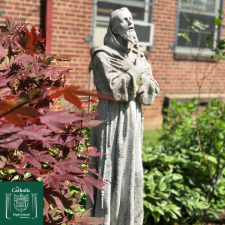 St. Francis Graphic.png